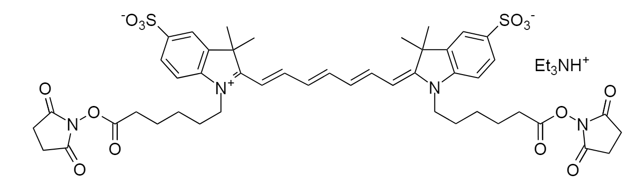 Cy7 bisNHS ester|花青7双琥珀酰亚胺酯