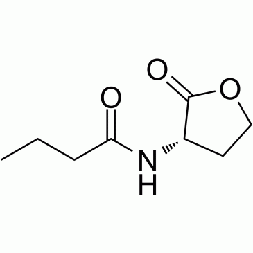 N-Butoyl-L-homoserine lactone CAS:67605-85-0