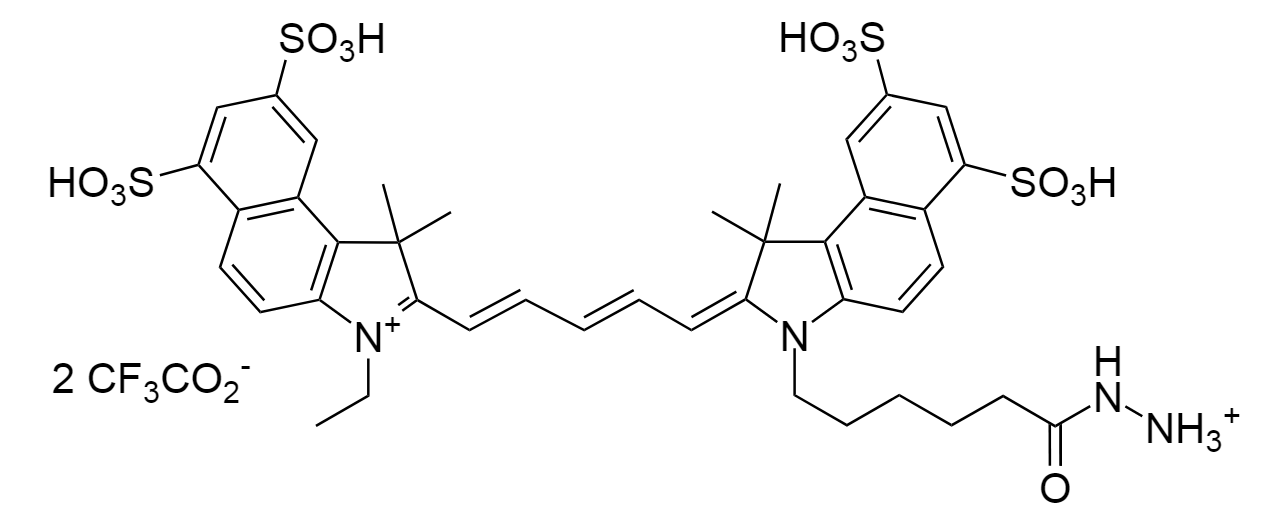 Cy5.5 hydrazide|花菁5.5酰肼