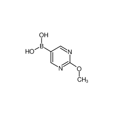 2-甲氧基-5-嘧啶硼酸cas:628692-15-9|2-Methoxypyrimidine-5-boronic acid