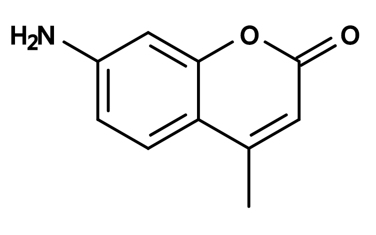 AMC|7-Amino-4-methylcoumarin|CAS26093-31-2|7-氨基-4-甲基香豆素