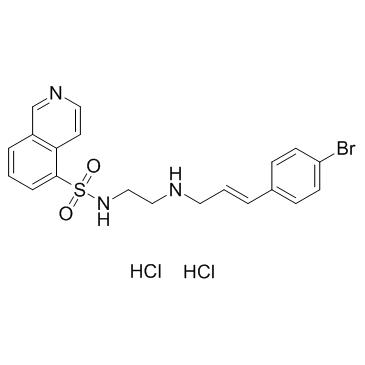 H-89 dihydrochloride (Protein kinase inhibitor H-89 dihydrochloride),CAS:130964-39-5