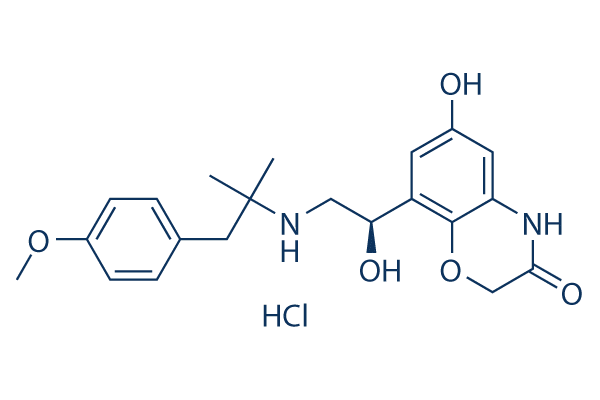 Olodaterol Hydrochloride,CAS:869477-96-3