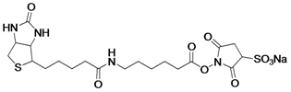 Sulfo-NHS-LC-Biotin CAS:127062-22-0
