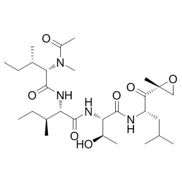 环氧酶素;Epoxomicin，CAS:134381-21-8