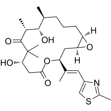 埃博霉素 A;Epothilone A，CAS:152044-53-6