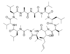 环孢霉素D;Cyclosporin D,CAS:63775-96-2