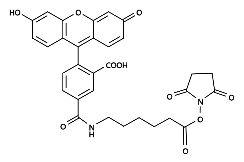5-SFX|5-FAM-X, SE|CAS148356-00-7|5-羧基荧光素琥珀酰亚胺酯
