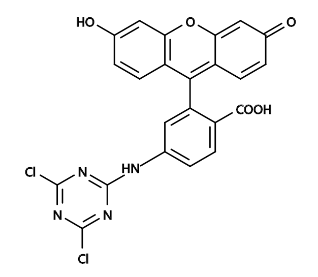 6-DTAF|6-(4,6-Dichlorotriazinyl)aminofluorescein|CAS118357-32-7|6-(4,6-二氯三嗪基)氨基荧光素
