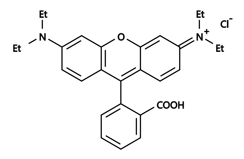 Rhodamine B|CAS81-88-9|罗丹明B