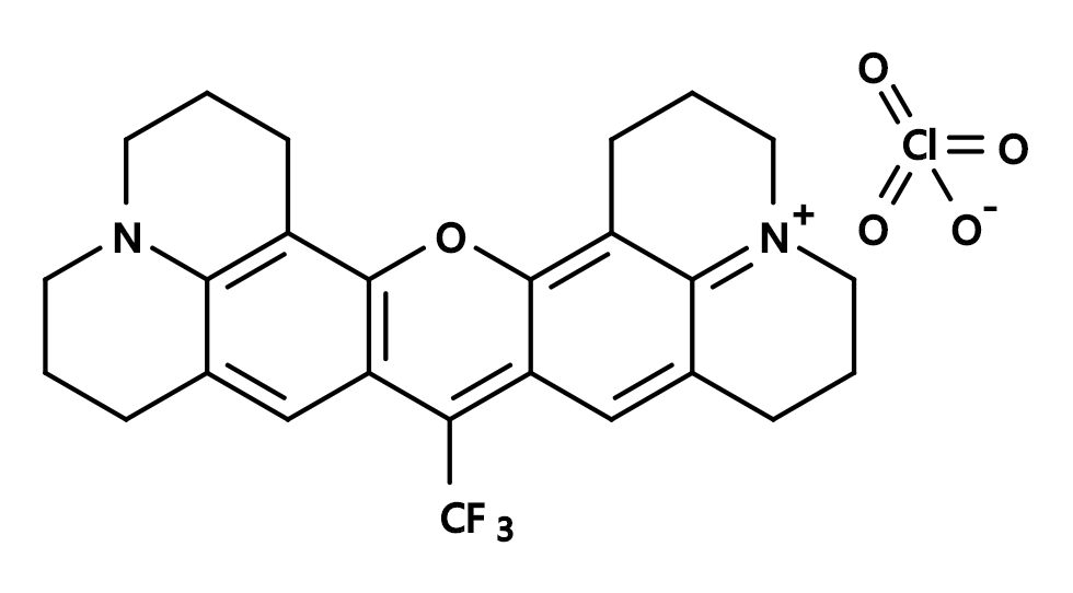 Rhodamine 700|CAS63561-42-2|罗丹明700
