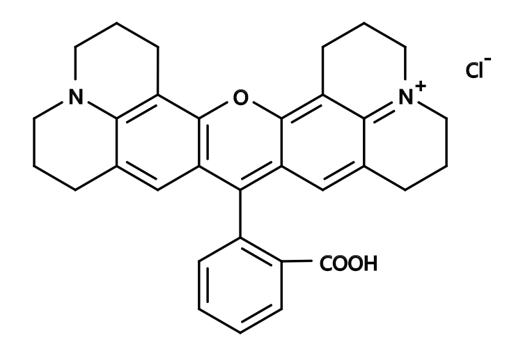 Rhodamine 101 Chloride Salt|CAS64339-18-0|罗丹明101氯化物盐