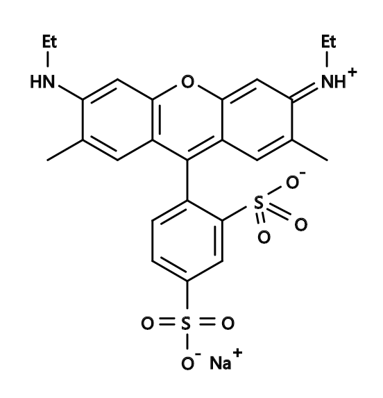 Sulforhodamine G|CAS5873-16-5|磺基罗丹明G