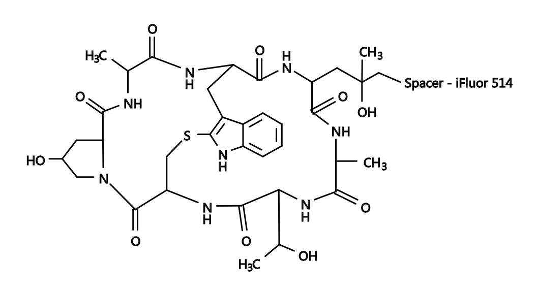 Phalloidin-iFluor™ 514 Conjugate|鬼笔环肽-iFluor™514偶联物