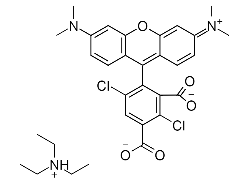 5-dTMR|5-Carboxy-4,7-dichlorortetramethylrhodamine|5-羧基-4,7-二氯四甲基罗丹明