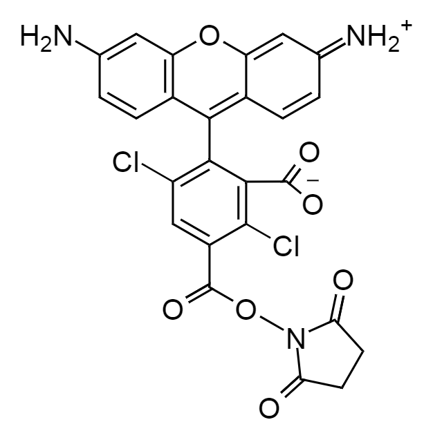 5-dR110, succinimidyl ester|5-羧基-4,7-二氯罗丹明110琥珀酰亚胺酯