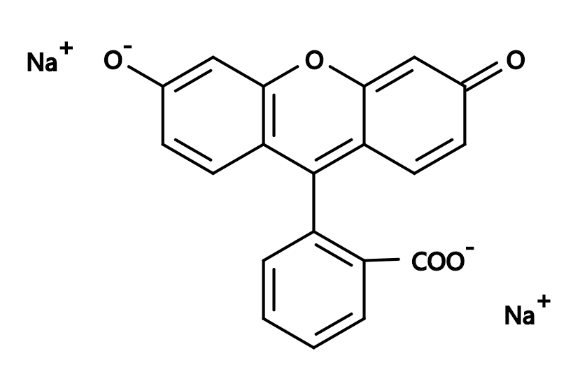 Fluorescein, disodium salt|CAS518-47-8|荧光素, 二钠盐