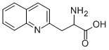 DL-2-喹啉基丙氨酸cas:123761-12-6