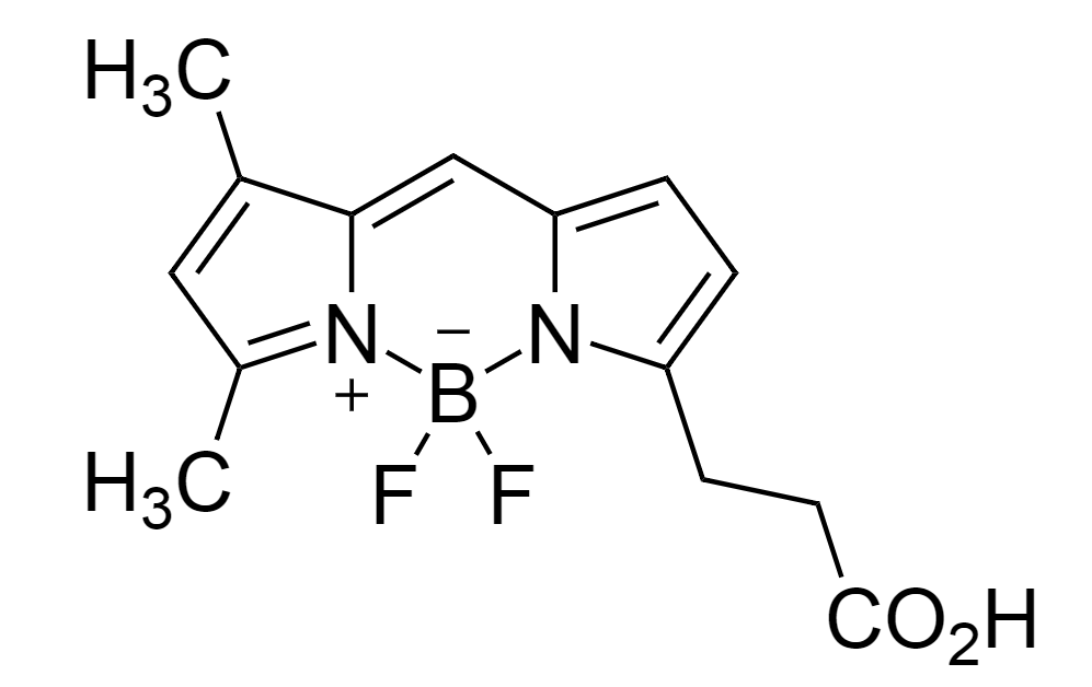 Bodi Fluor™ 488 acid|CAS126250-45-1|Bodi Fluor™488羧酸