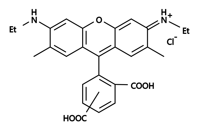 5(6)-CR6G|5-(d 6)-Carboxyrhodamine 6G|5-(和6)-羧甲基罗丹明6G