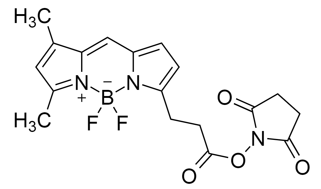 Bodi Fluor™ 488 SE|CAS146616-66-2|Bodi Fluor™ 488琥珀酰亚胺酯
