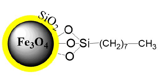 PuriMag Si-C8 辛基修饰磁珠|疏水磁珠|Dynabeads® RPC protein等效疏水磁珠