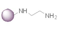 氨基活化琼脂糖磁珠|氨基琼脂糖微球|Magarose-NH2