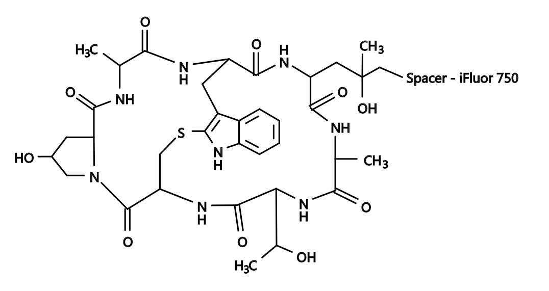 Phalloidin-iFluor™ 750 Conjugate|鬼笔环肽-iFluor™750偶联物