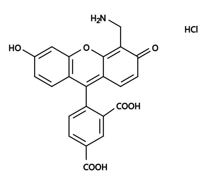 5-Carboxy-4&#039;-aminomethylfluorescein|5-羧基-4&#039;-氨基甲基荧光素