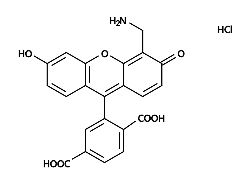 6-Carboxy-4&#039;-aminomethylfluorescein|6-羧基-4&#039;-氨基甲基荧光素