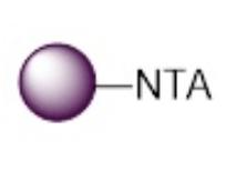 组氨酸标签蛋白纯化磁珠|Magarose NTA