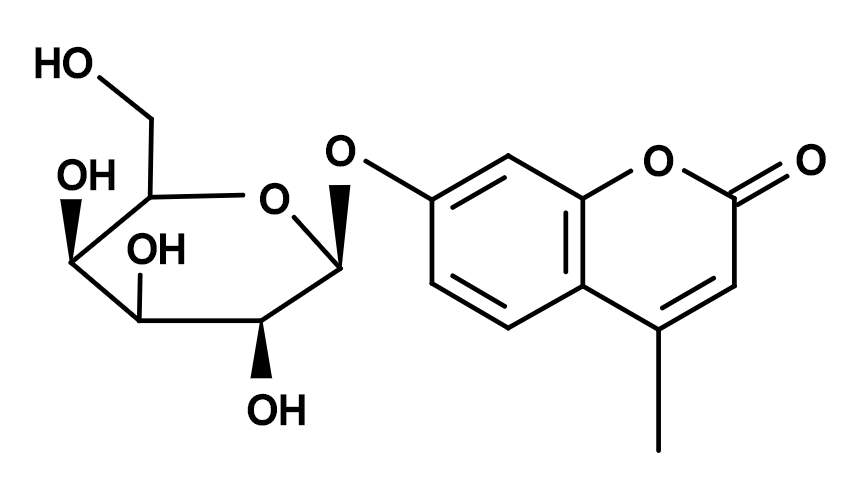 MUG|CAS6160-78-7|4-甲基伞形酮-β-D-吡喃半乳糖苷