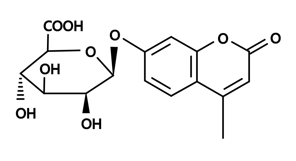 MUGlcU|CAS881005-91-0|4-甲基伞形酮基-β-D-葡糖醛酸苷