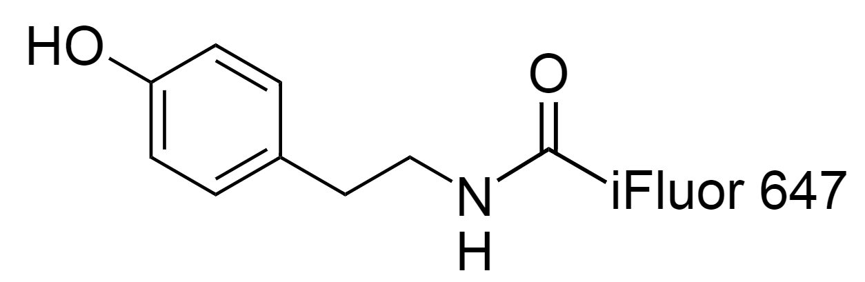 iFluor™ 647 Tyramide|iFluor™647酪酰胺