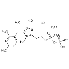 四水合辅羧酶cas:68684-55-9|Cocarboxylase tetrahydrate
