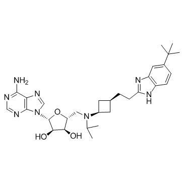 Pinometostat(EPZ-5676),CAS:1380288-87-8