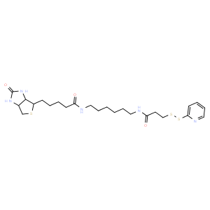 BIOTIN HPDP,CAS129179-83-5