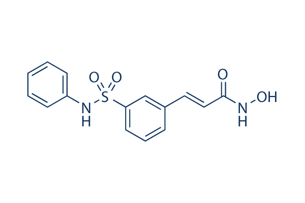 Belinostat,PXD101,CAS:414864-00-9