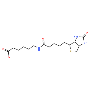 (+)-BIOTIN-EPSILON-AMINOCAPROIC ACID,CAS72040-64-3