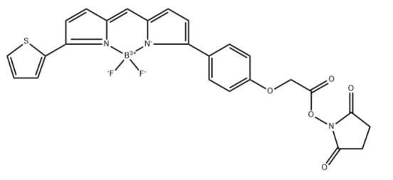 BDP TR NHS ester,CAS:150152-65-1