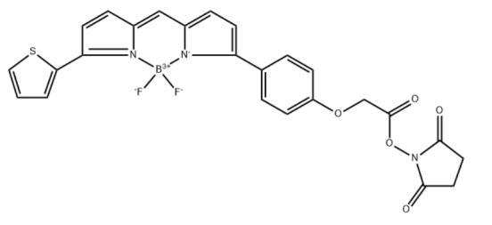 BDP TR NHS ester，CAS:150152-65-1