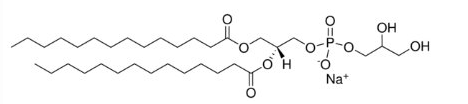 1,2-二肉豆蔻酰-sn-甘油基-3-磷酸-rac-(1-甘油)(钠盐)（DPPG-NA）,cas号67232-81-9