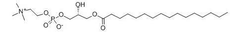 1-十六酰-sn-丙三醇-磷酸胆碱 (P-LysoPC)，cas17364-16-8