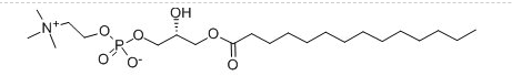 M-LysoPC 1-十四酰-2-羟基卵磷脂 (M-LysoPC)，cas号20559-16-4