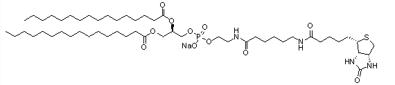 DPPE-cap-Biotine（钠盐），cas号384835-52-3