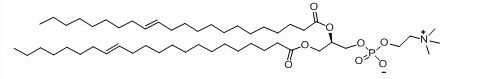 DEPC|二芥酰磷脂酰胆碱,cas51779-95-4