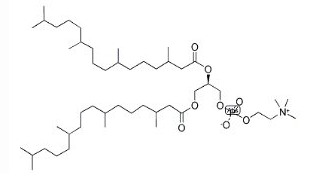 DPPA-NA，二棕榈酰磷脂酸(钠盐），169051-60-9