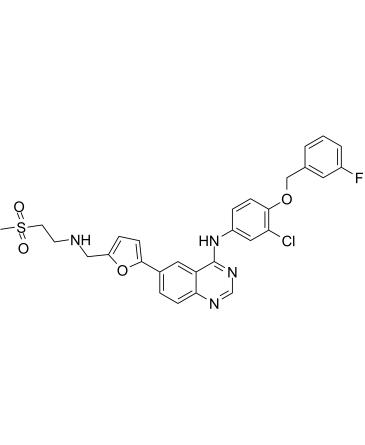拉帕替尼;Lapatinib(GW572016;GW2016)CAS:231277-92-2