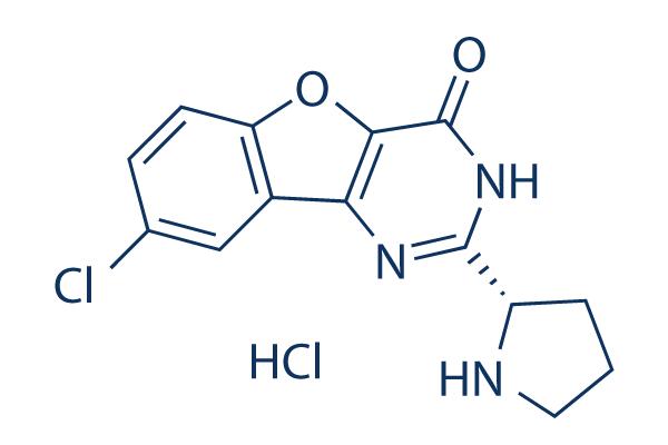 XL413 Hydrochloride,CAS:1169562-71-3