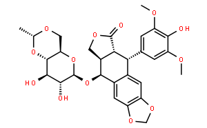 Etoposide;VP16;VP16213;CAS:33419-42-0